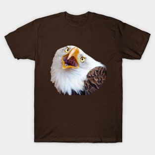 Bald Eagle shout T-Shirt